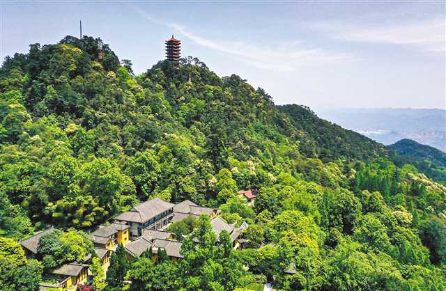 铁腕治山，为城市“绿肺”减负——重庆缙云山国家级自然保护区生态环境综合整治成效报道之一