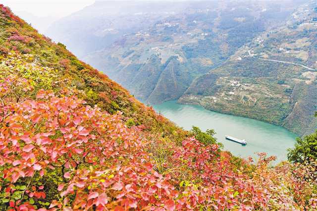 待到满山红叶时——三峡重庆库区践行新发展理念面面观